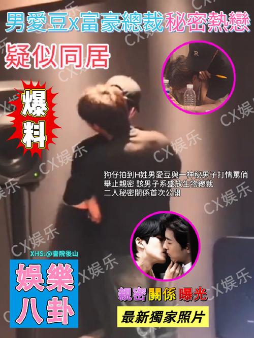 娱乐圈明星嗑CP与爆料背后，揭秘腐文新闻如何影响粉丝与明星互动