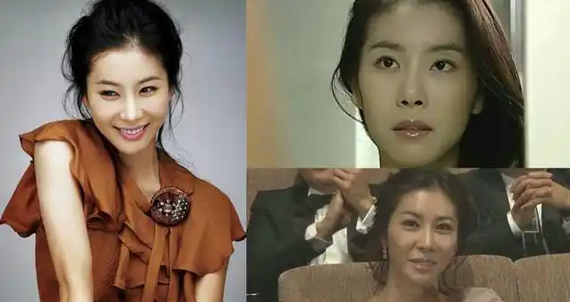 韩剧整容女明星_崔智友蔡琳尹恩惠刘仁娜刘荷娜韩恩贞金宣儿郑丽媛李多海朴诗妍_韩国整容女明星颜值变化